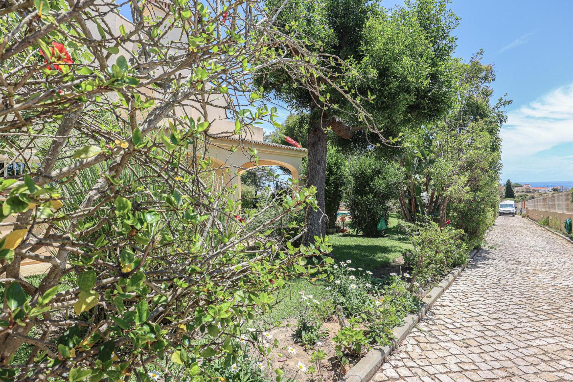 Casa Pepa-paca - Swiming Pool & Air Condition - - Sesmarias - By Bedzy Holiday home
