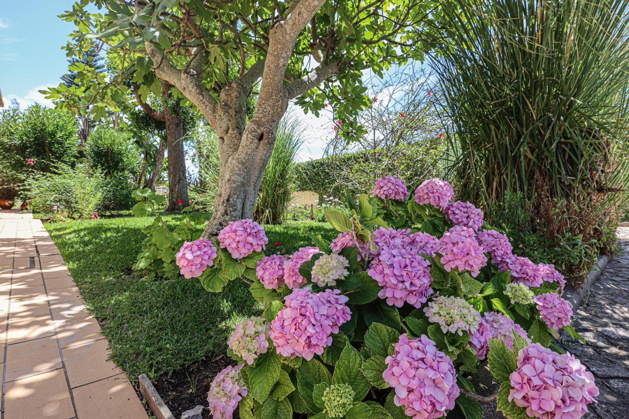 Casa Pepa-paca - Swiming Pool & Air Condition - - Sesmarias - By Bedzy Holiday home *